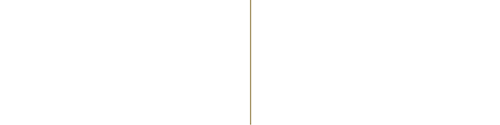 Gold Vertical Line