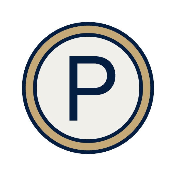 Parking Icon