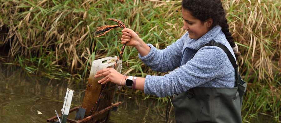 Civil engineering student working in environmental engineering at The University of Akron